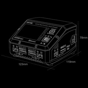 Q200neo (4 battery) charger by SkyRC