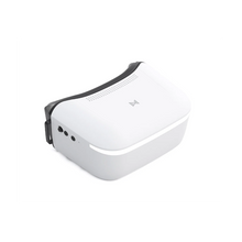Load image into Gallery viewer, Walksnail Avatar HD Goggles L