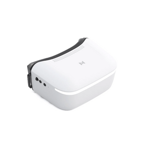Walksnail Avatar HD Goggles L