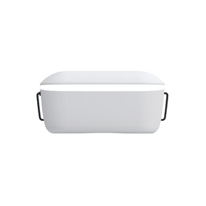 Walksnail Avatar HD Goggles L